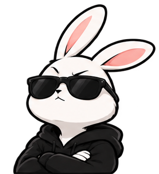 Explore the BunnyTik model portal